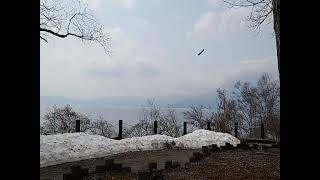 220412_shikotu1,2