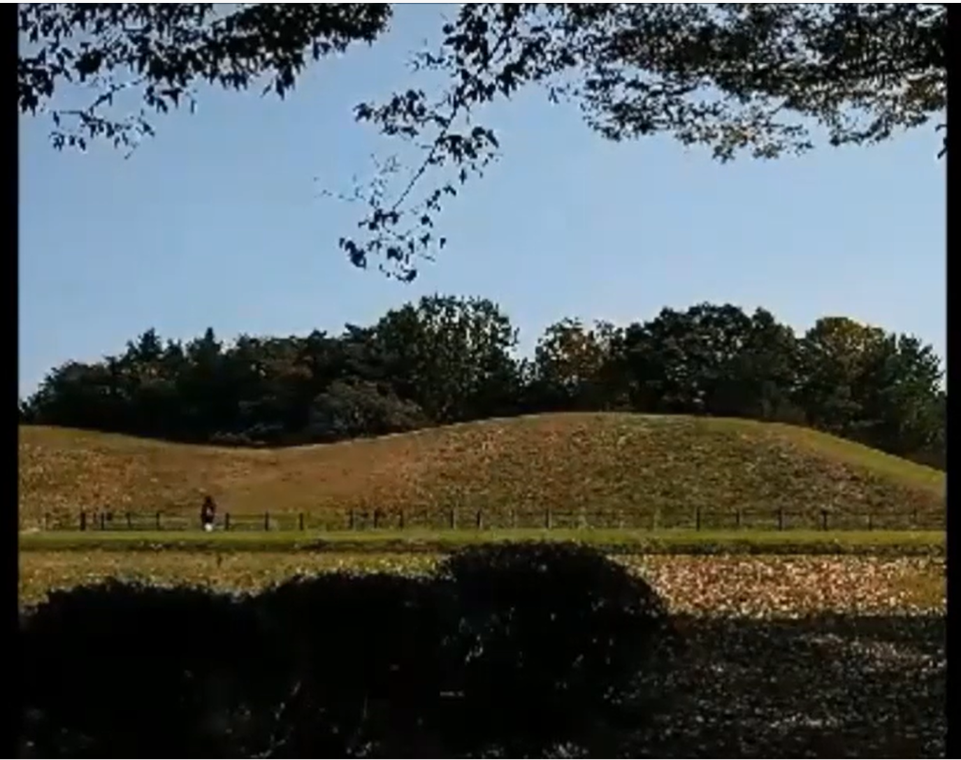 2020年10月31日 さきたま古墳にて