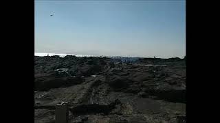 11月10日 城ヶ島