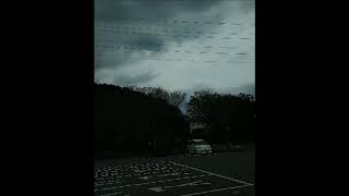 11月30日 川内原発