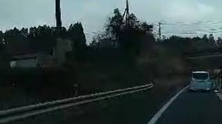 12月30日 鹿児島佐多岬