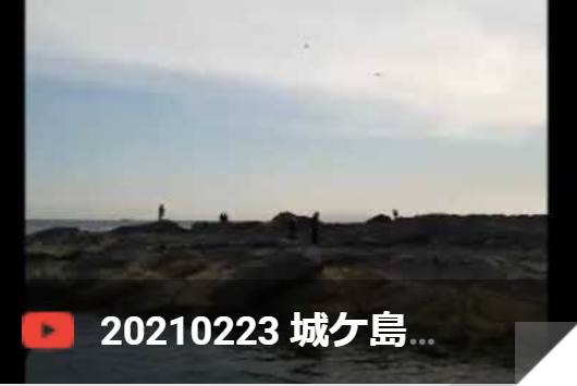 2月23日 城ヶ島