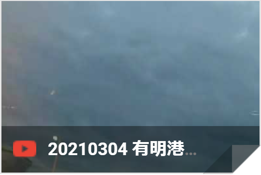 3月4日 有明