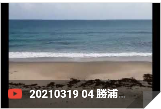 3月19日 勝浦