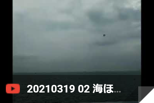 3月19日 海ほたる