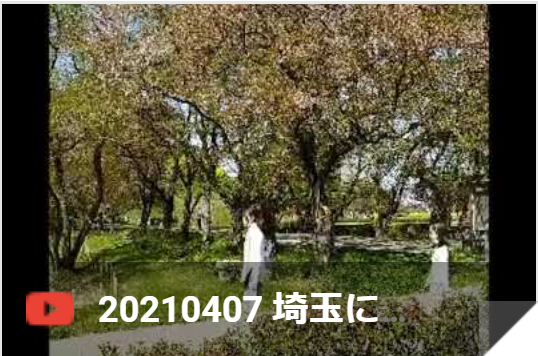 4月7日 さきたま古墳群