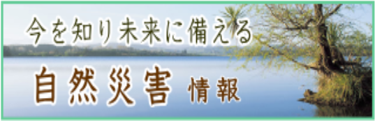 icon4